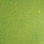 wall paint texture